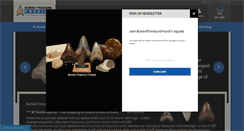 Desktop Screenshot of buriedtreasurefossils.com